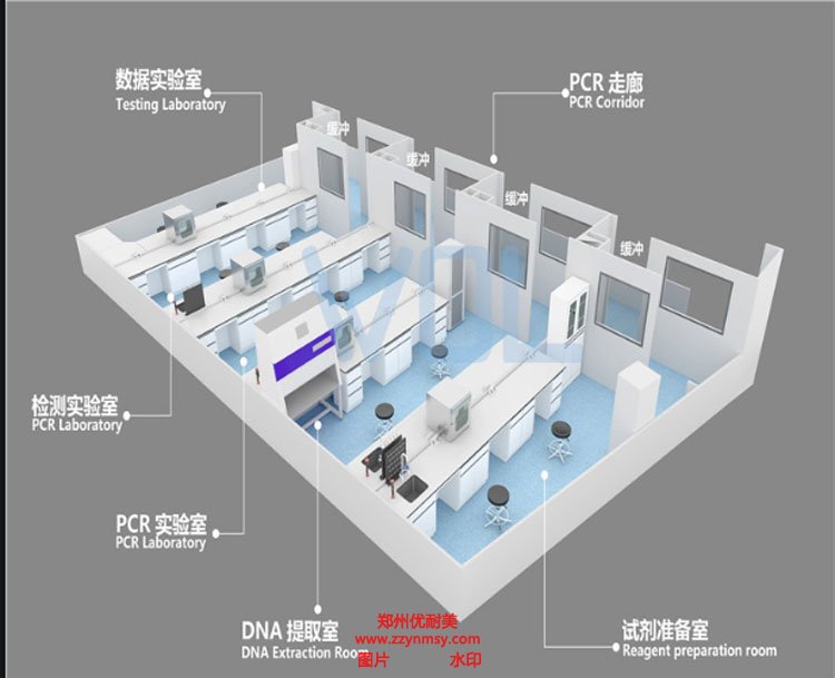 PCR實驗室建設效果圖