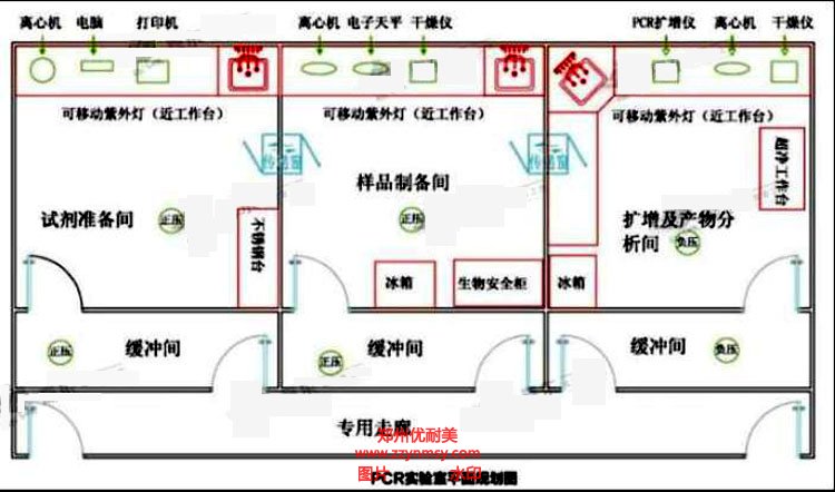 PCR實(shí)驗(yàn)室設(shè)計(jì)效果圖